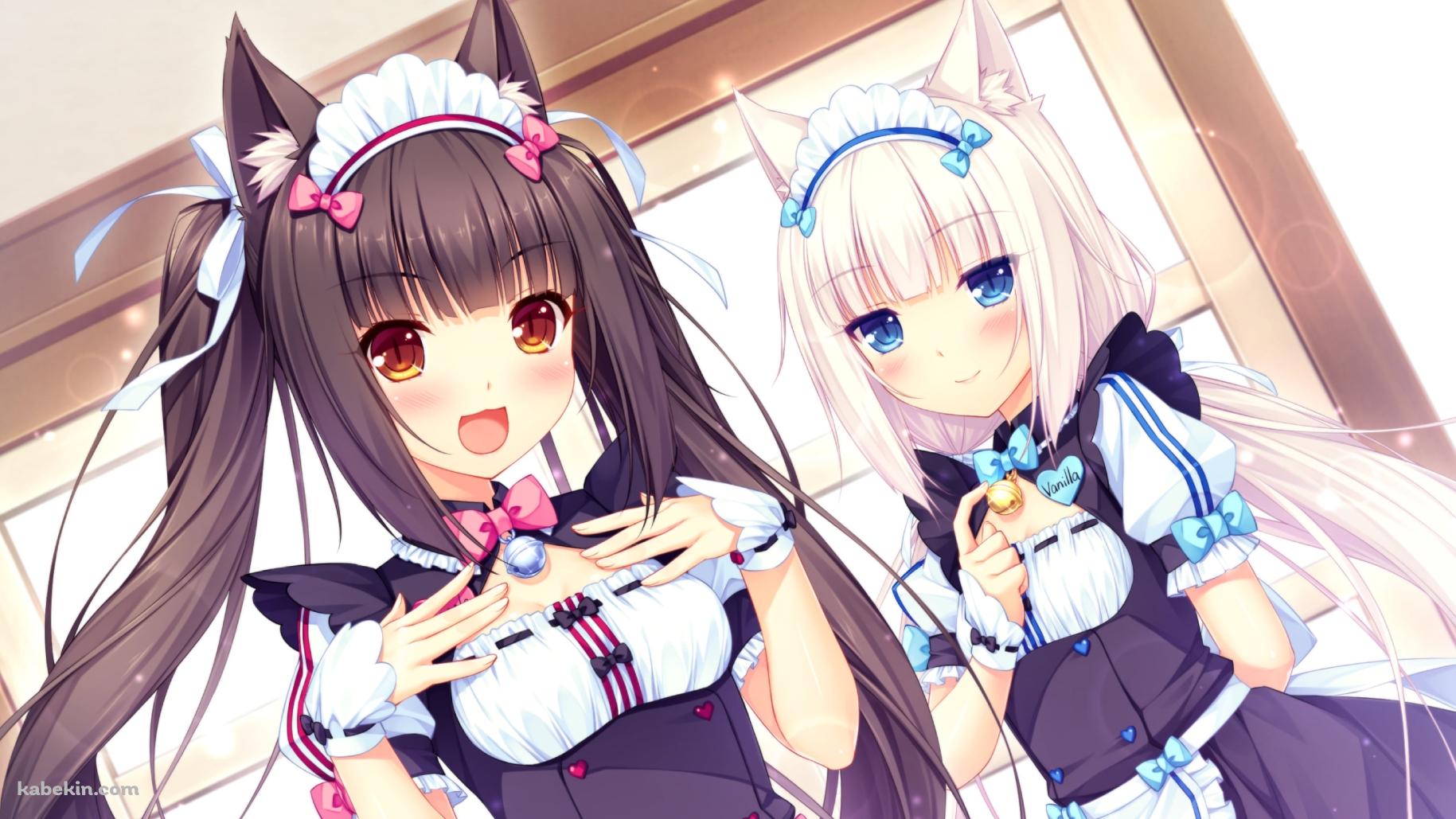 メイド姿の可愛いバニラとショコラ / ネコぱらの壁紙(1829px x 1029px) 高画質 PC・デスクトップ用