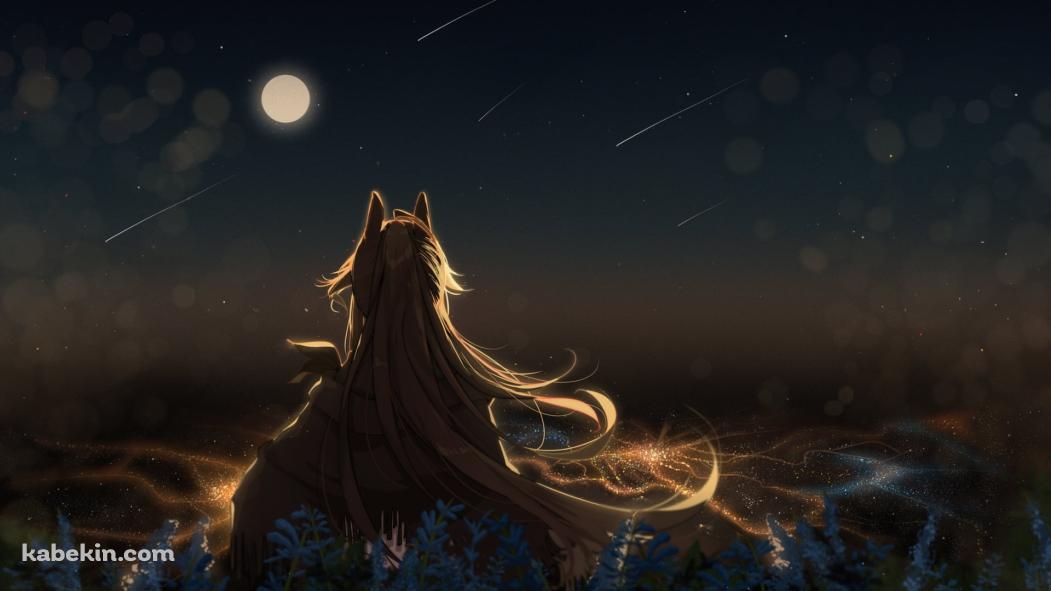 十五夜のお月見をするメテオの後ろ姿 / 流れ星 / アークナイツの壁紙(1051px x 591px) 高画質 PC・デスクトップ用