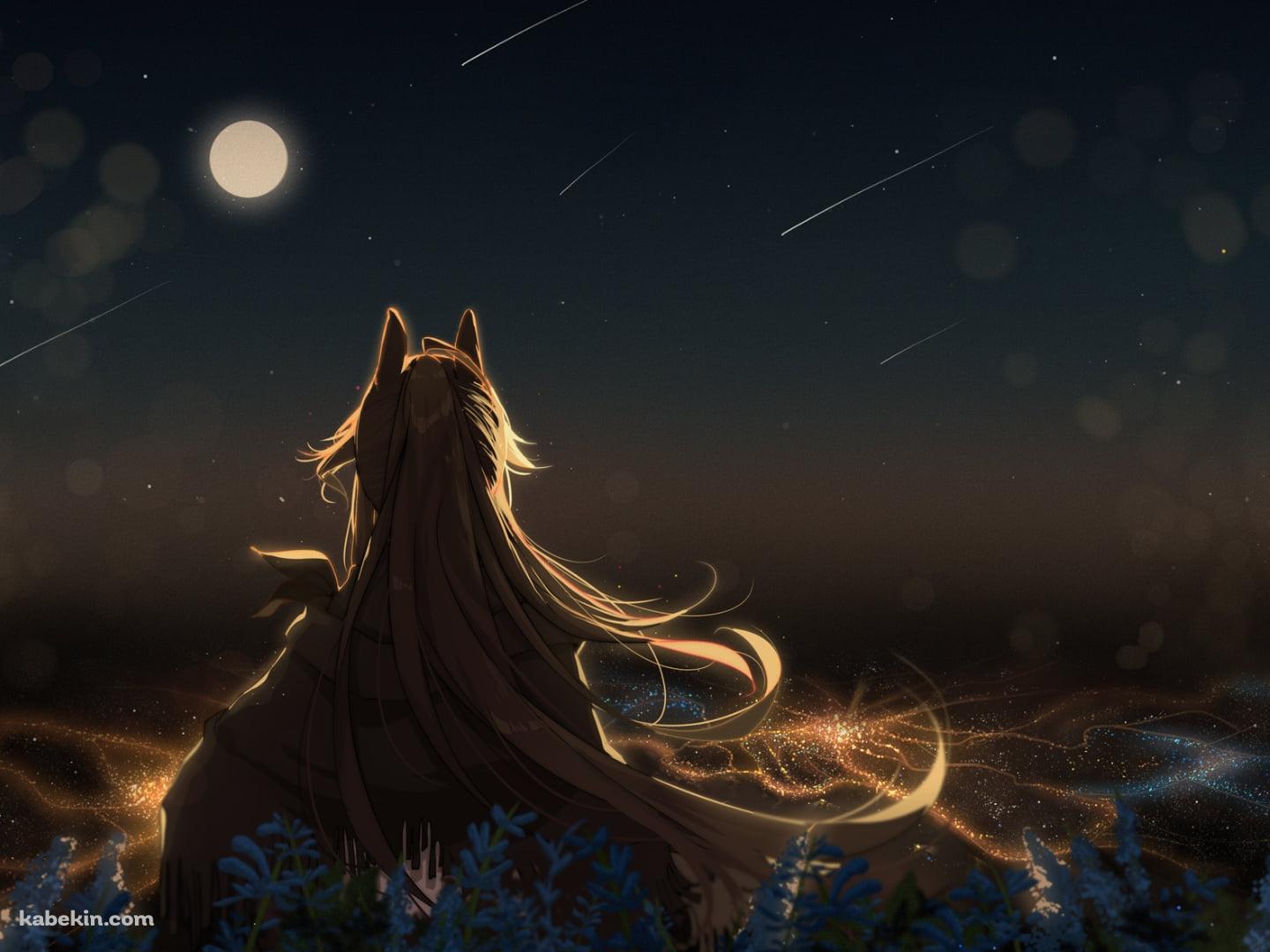 十五夜のお月見をするメテオの後ろ姿 / 流れ星 / アークナイツの壁紙(1440px x 1080px) 高画質 PC・デスクトップ用