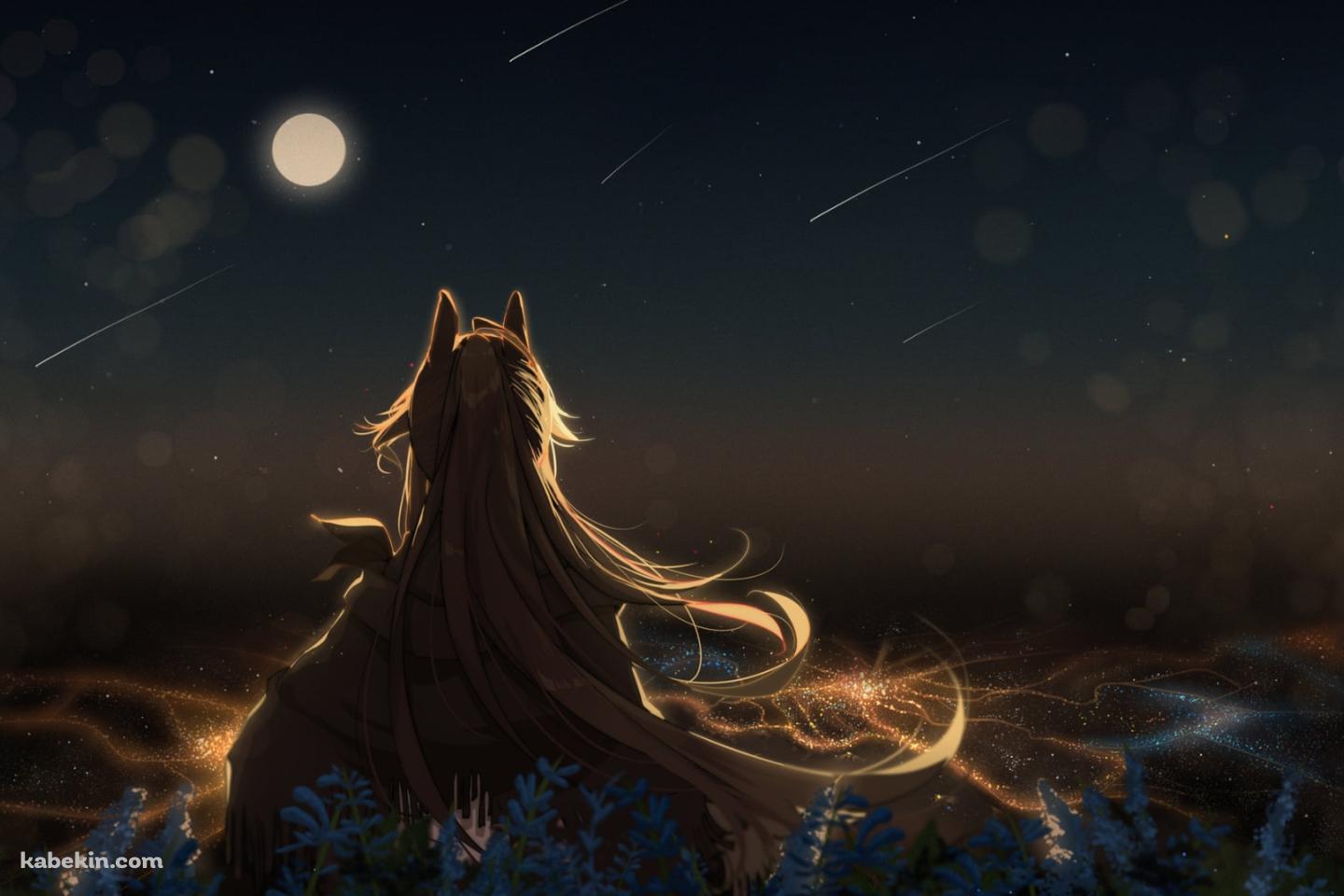 十五夜のお月見をするメテオの後ろ姿 / 流れ星 / アークナイツの壁紙(1440px x 960px) 高画質 PC・デスクトップ用
