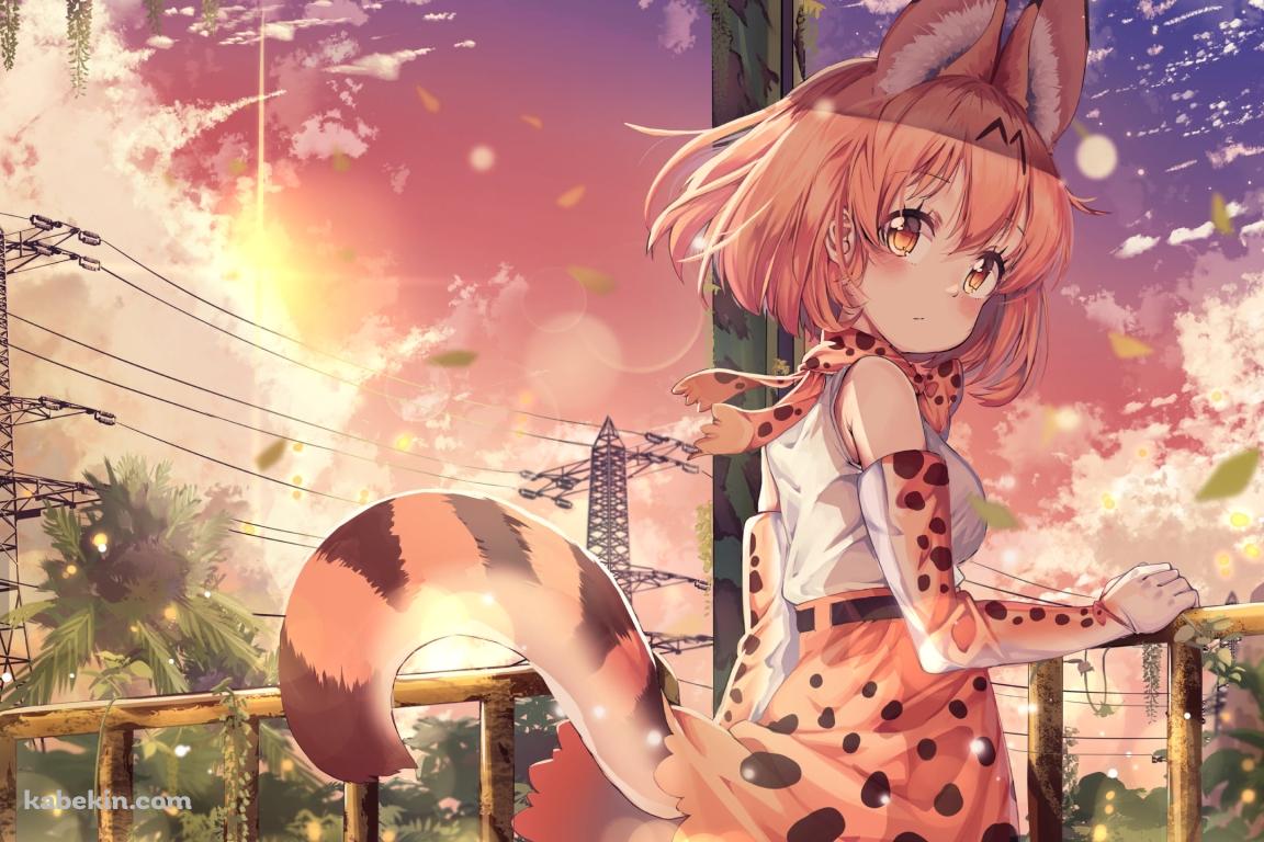 手摺を持ってふりかえるサーバル / けものフレンズの壁紙(1152px x 768px) 高画質 PC・デスクトップ用