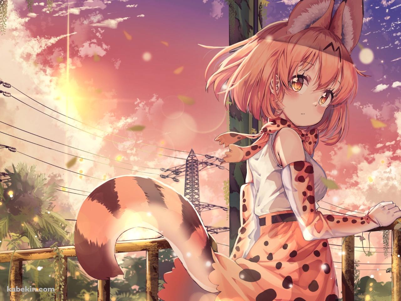 手摺を持ってふりかえるサーバル / けものフレンズの壁紙(1280px x 960px) 高画質 PC・デスクトップ用