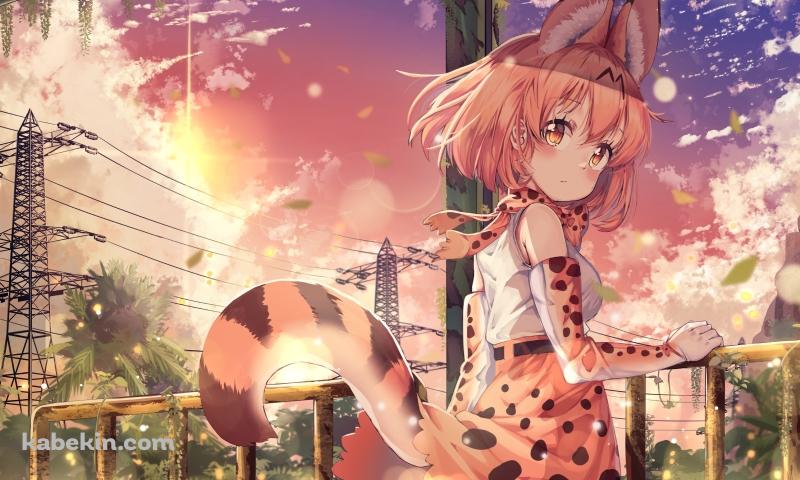 手摺を持ってふりかえるサーバル / けものフレンズの壁紙(800px x 480px) 高画質 PC・デスクトップ用