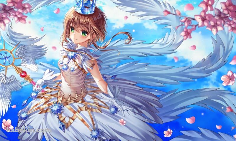 可愛い木之本桜 / 青空 / 桜の花 / カードキャプターさくらの壁紙(800px x 480px) 高画質 PC・デスクトップ用