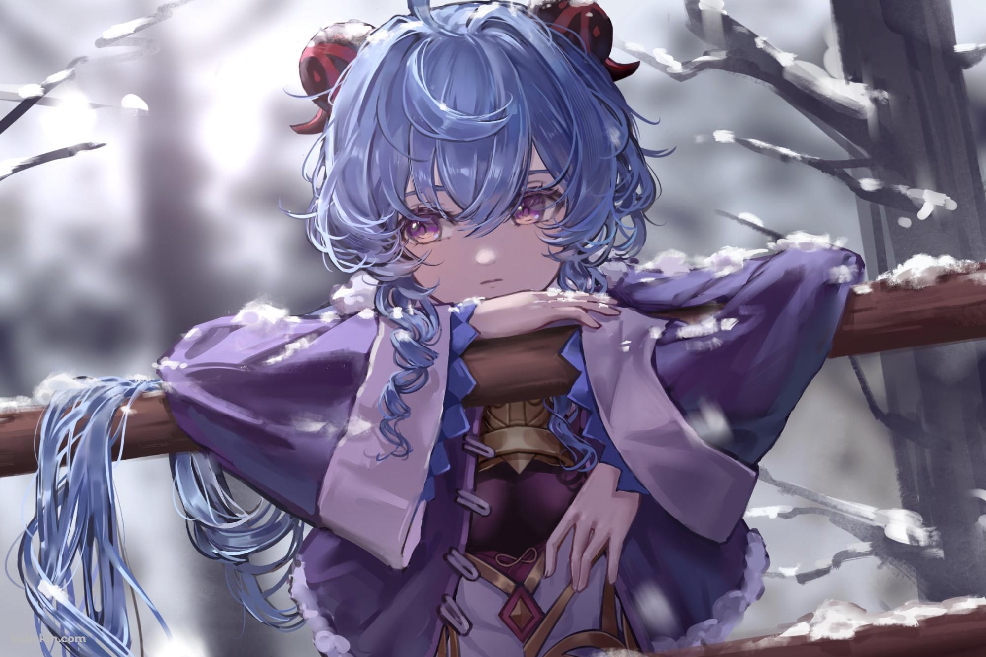 雪がつもった木の柵にもたれる甘雨 / 冬 / 青いロングヘア― / 原神の壁紙(2000px x 1333px) 高画質 PC・デスクトップ用