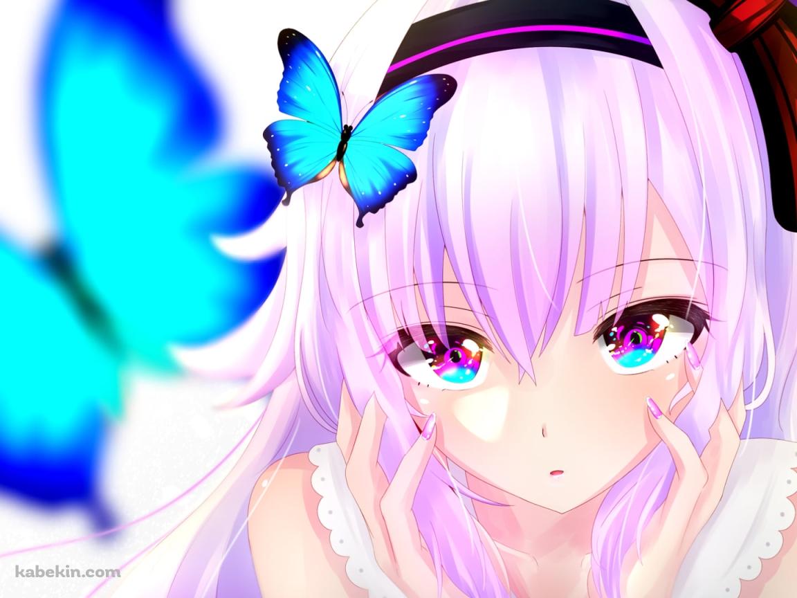 顔に両手をあてる可愛いカルロ・ピノ / 青い蝶 / バーチャルYouTuber / Vtuber / アイドル部の壁紙(1152px x 864px) 高画質 PC・デスクトップ用