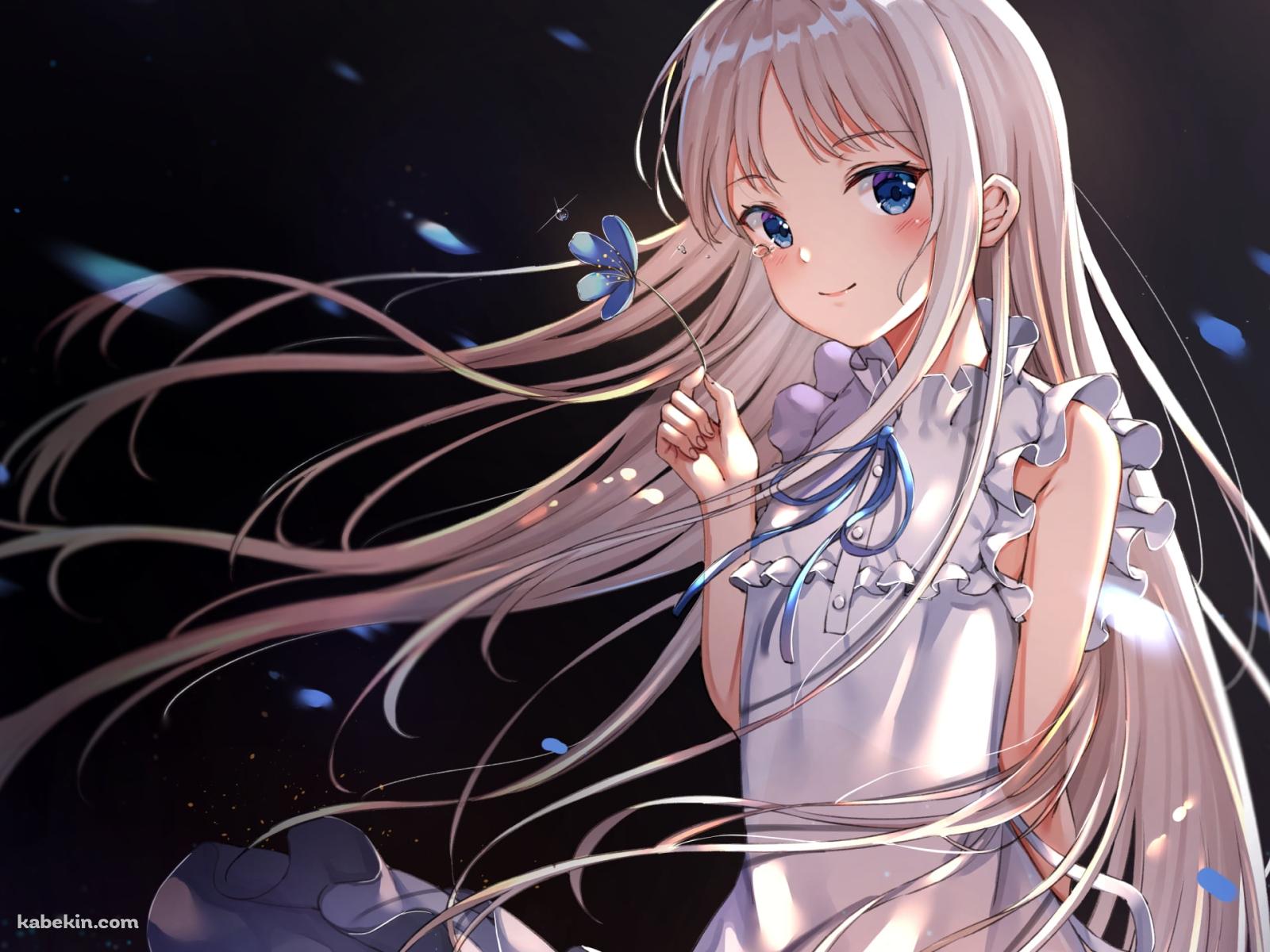 青い花を持つ可愛い本間芽衣子 / あの日見た花の名前を僕達はまだ知らない。  / あの花の壁紙(1600px x 1200px) 高画質 PC・デスクトップ用