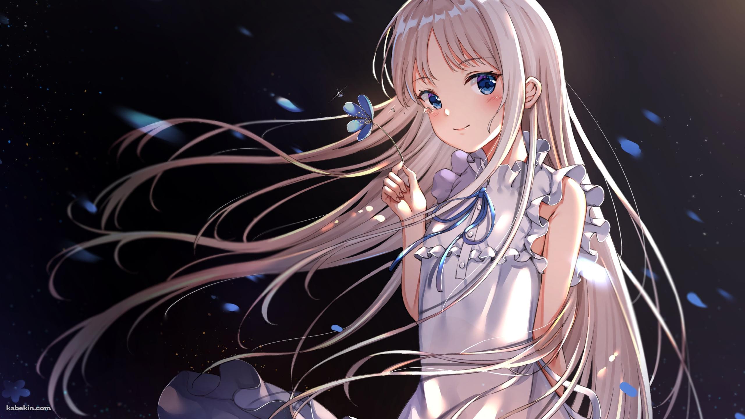 青い花を持つ可愛い本間芽衣子 / あの日見た花の名前を僕達はまだ知らない。  / あの花の壁紙(2560px x 1440px) 高画質 PC・デスクトップ用