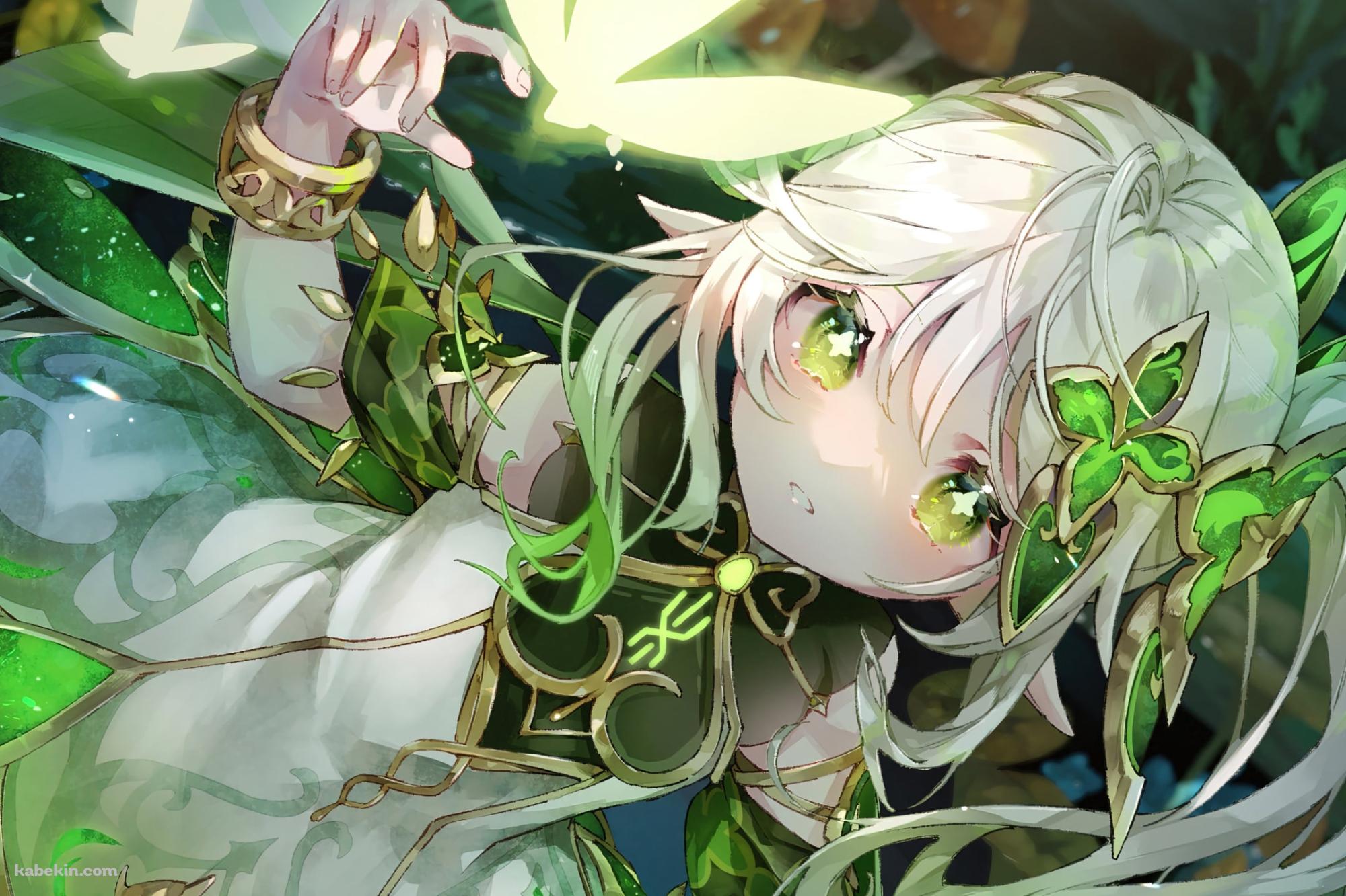 光る蝶と可愛いナヒーダ / キラキラした緑の瞳 / 原神の壁紙(2000px x 1333px) 高画質 PC・デスクトップ用