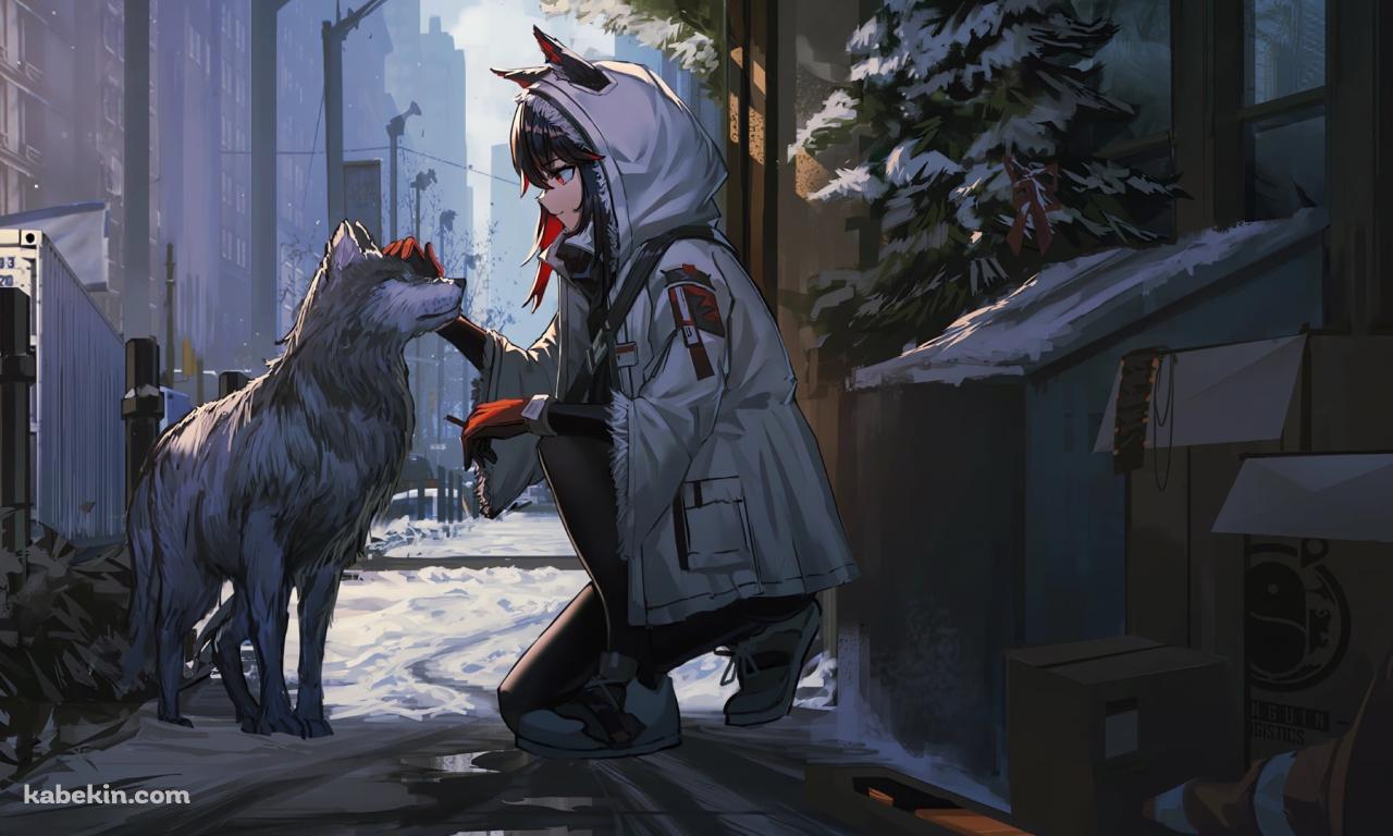 しゃがんで狼をなでるテキサス / 横顔 / 路地裏 / アークナイツの壁紙(1280px x 768px) 高画質 PC・デスクトップ用