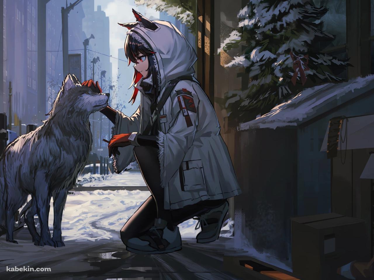 しゃがんで狼をなでるテキサス / 横顔 / 路地裏 / アークナイツの壁紙(1280px x 960px) 高画質 PC・デスクトップ用