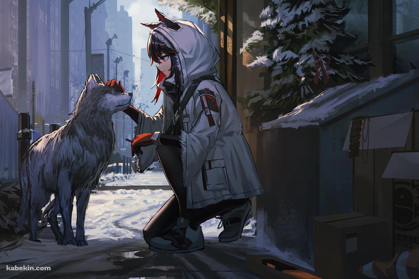 しゃがんで狼をなでるテキサス / 横顔 / 路地裏 / アークナイツの壁紙(1440px x 960px) 高画質 PC・デスクトップ用