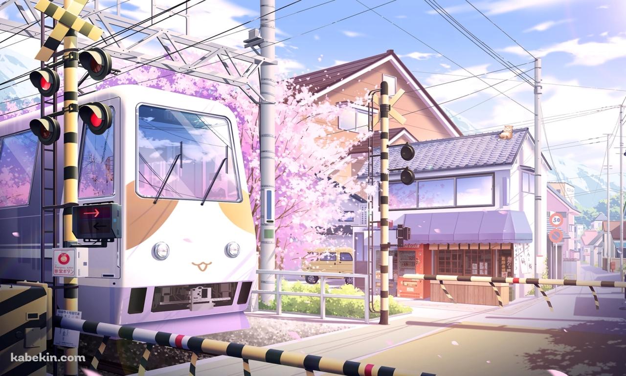 踏切を通過する電車 / 満開の桜 / 街並み / 電柱 / 春の壁紙(1280px x 768px) 高画質 PC・デスクトップ用