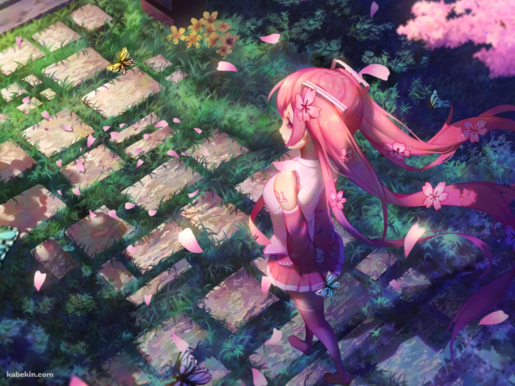 石畳のある庭園を歩く桜ミク / 青い蝶 / 紫の蝶 / ボカロ / ボーカロイドの壁紙(1680px x 1260px) 高画質 PC・デスクトップ用