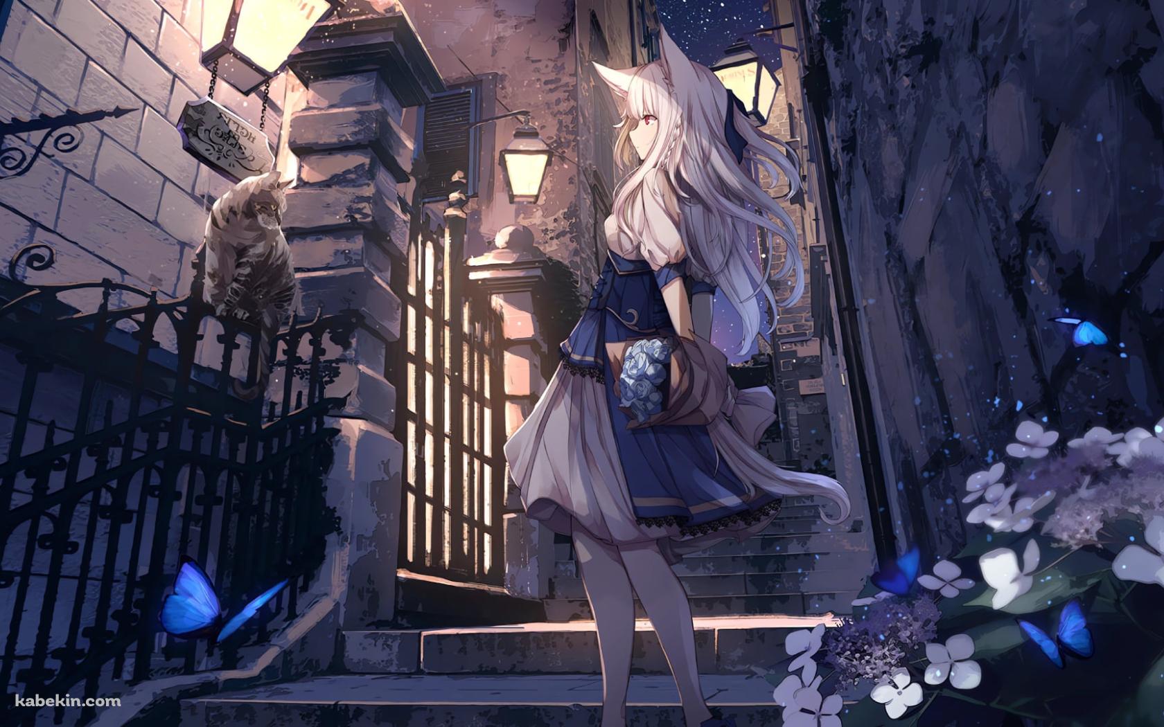 野良猫を見つめる獣耳の少女 / 青い蝶の壁紙(1680px x 1050px) 高画質 PC・デスクトップ用