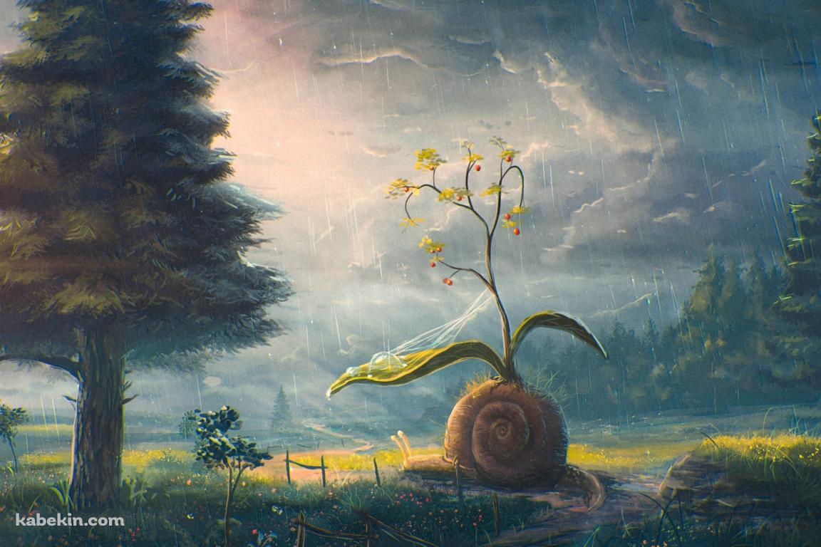 殻から草が生えているカタツムリ / 大木 / 雨 / 曇天模様の空 / 悪天候の壁紙(1152px x 768px) 高画質 PC・デスクトップ用