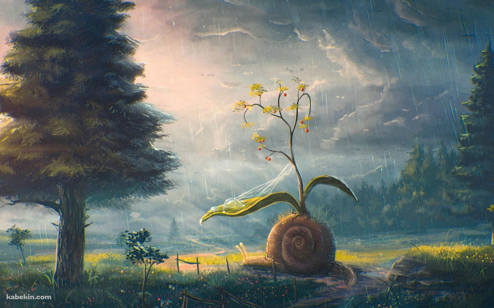 殻から草が生えているカタツムリ / 大木 / 雨 / 曇天模様の空 / 悪天候の壁紙(1680px x 1050px) 高画質 PC・デスクトップ用