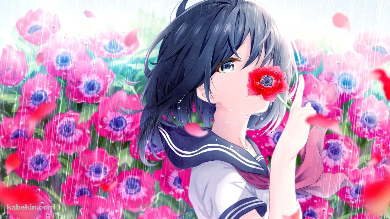 豪雨の中で赤い花で顔を隠す女子高生の壁紙(1242px x 698px) 高画質 PC・デスクトップ用