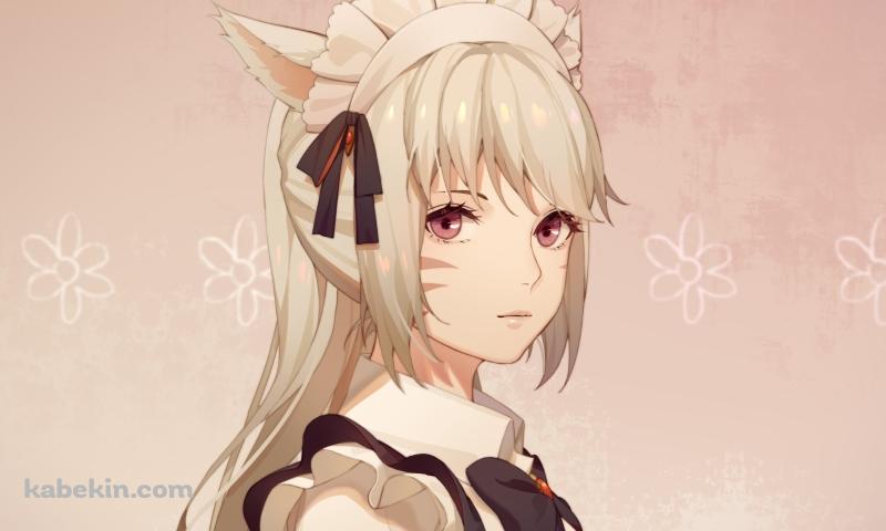 メイド姿のミコッテ / ファイナルファンタシーの壁紙(800px x 480px) 高画質 PC・デスクトップ用