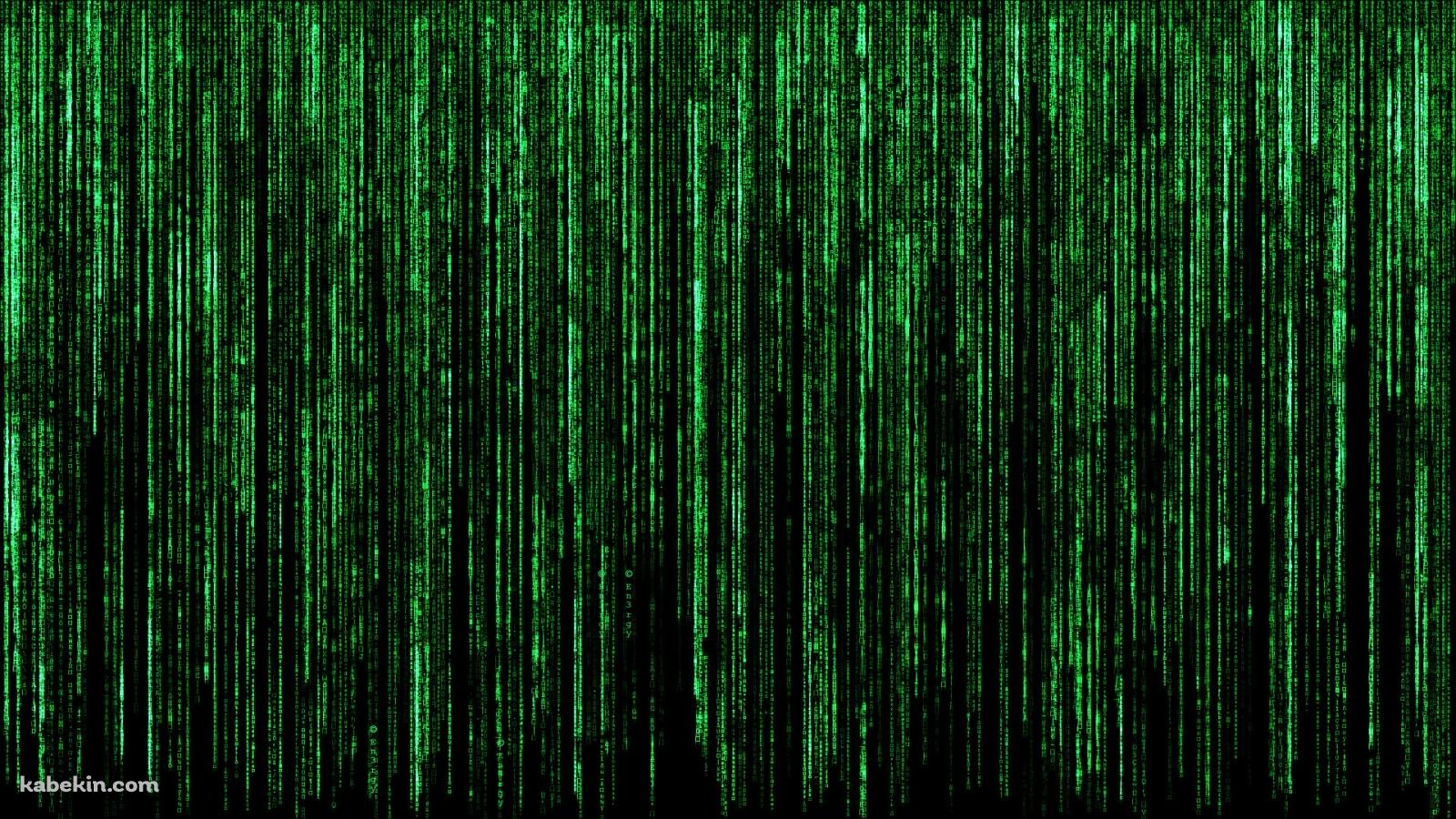 綺麗なマトリックスコード / 緑 / 文字 / デジタルの壁紙(1600px x 900px) 高画質 PC・デスクトップ用