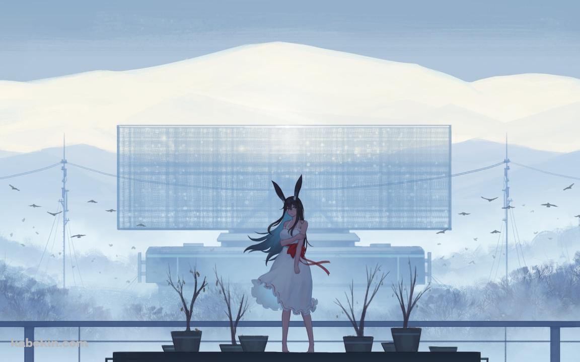 枯れ木と兎耳の少女 / 鳥の群れの壁紙(1152px x 720px) 高画質 PC・デスクトップ用
