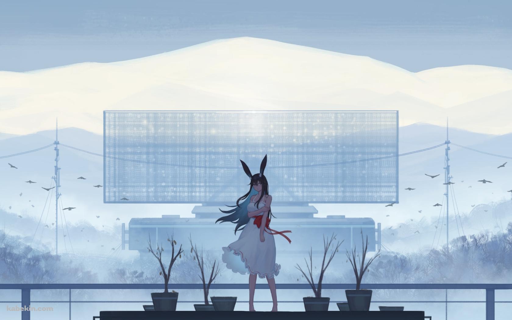 枯れ木と兎耳の少女 / 鳥の群れの壁紙(1680px x 1050px) 高画質 PC・デスクトップ用