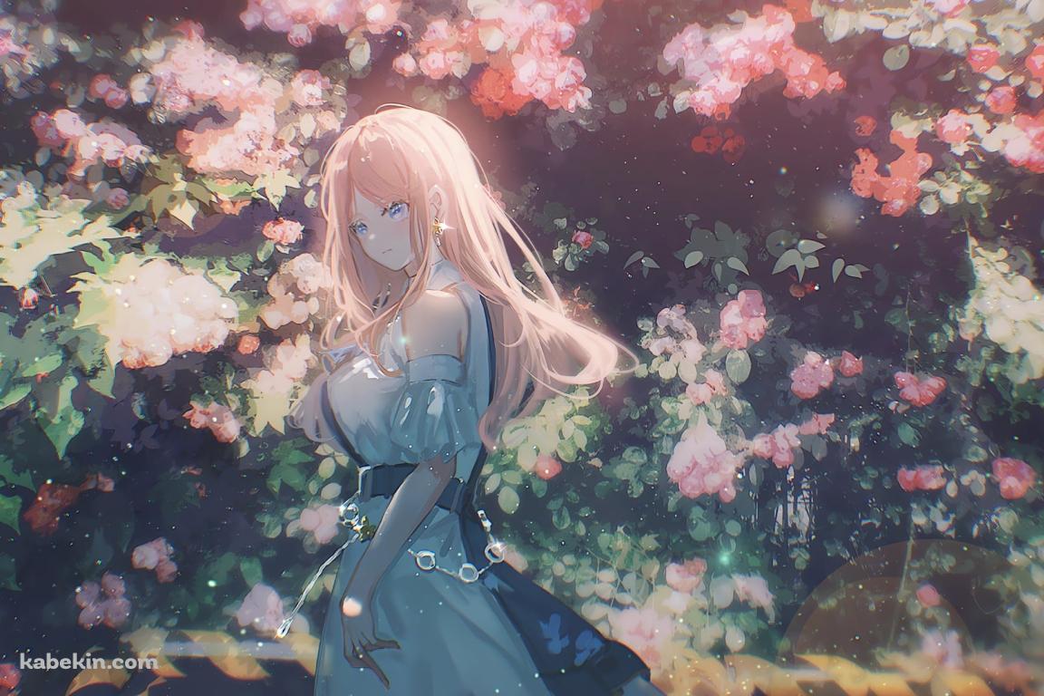 ピンクの花とこちらを見つめる長崎そよ / バンドリ!の壁紙(1152px x 768px) 高画質 PC・デスクトップ用