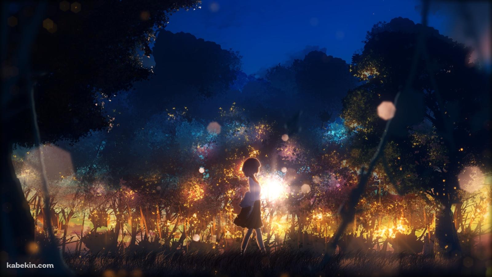 夜の森の中を歩く少女の壁紙(1600px x 900px) 高画質 PC・デスクトップ用