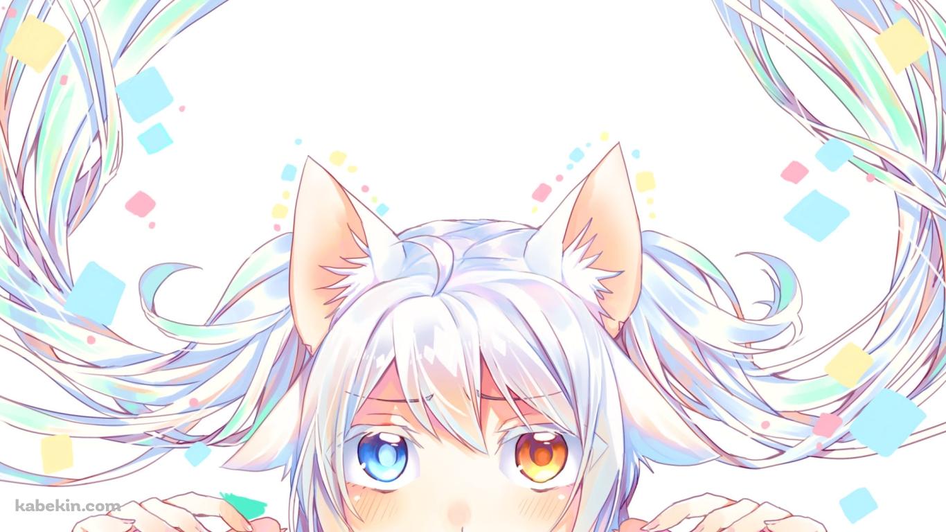 オッドアイの白椛雪（しらかば ゆき） / 猫娘症候群の壁紙(1366px x 768px) 高画質 PC・デスクトップ用