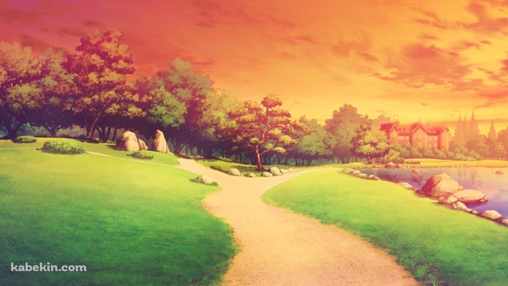 夕暮れ時の湖がある公園 / 松の木 / 芝生の壁紙(1024px x 576px) 高画質 PC・デスクトップ用