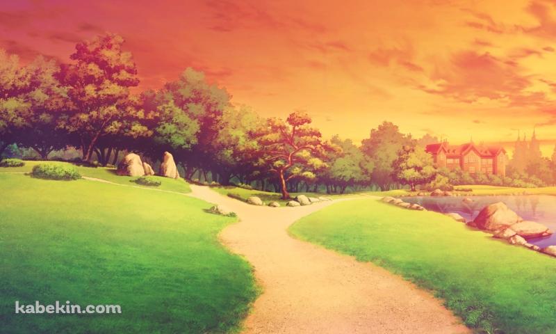 夕暮れ時の湖がある公園 / 松の木 / 芝生の壁紙(800px x 480px) 高画質 PC・デスクトップ用
