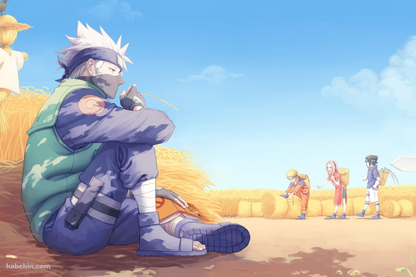 カカシの前に座るはたけカカシ / うずまきナルト / うちはサスケ / 春野サクラ / NARUTOの壁紙(1440px x 960px) 高画質 PC・デスクトップ用