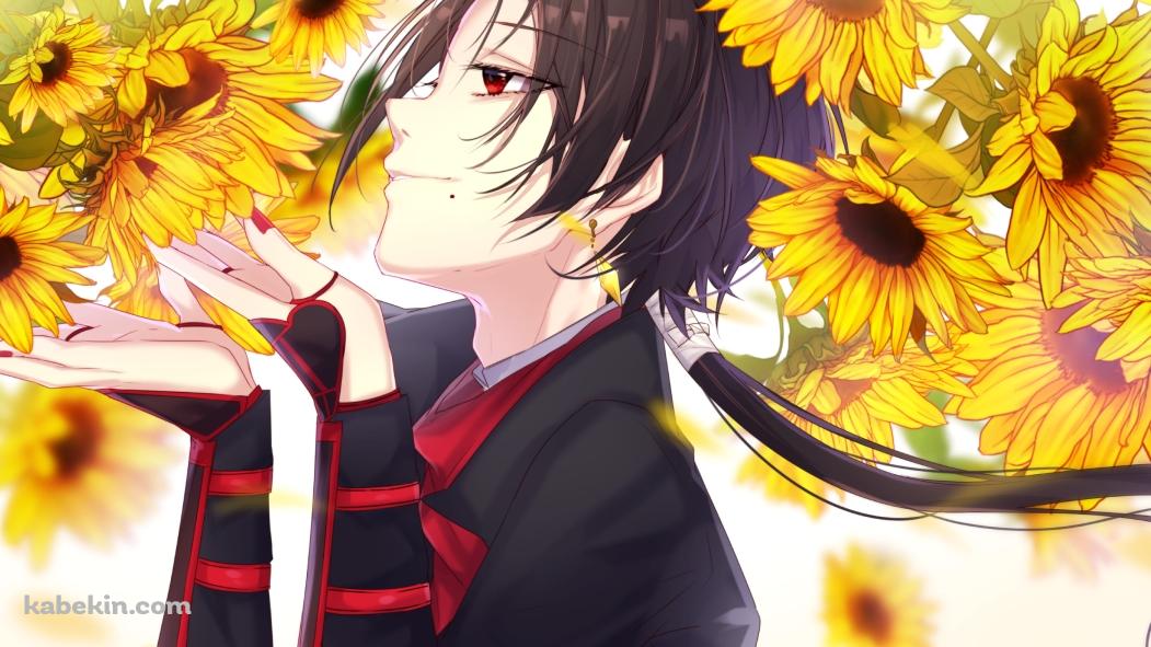 向日葵を愛でる加州清光(かしゅうきよみつ) / 刀剣乱舞の壁紙(1051px x 591px) 高画質 PC・デスクトップ用