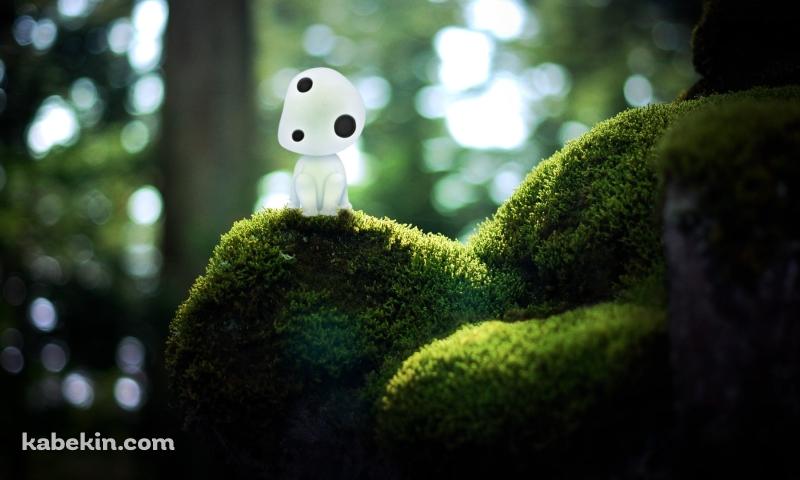 苔の上に座るこだま / もののけ姫 / ジブリの壁紙(800px x 480px) 高画質 PC・デスクトップ用