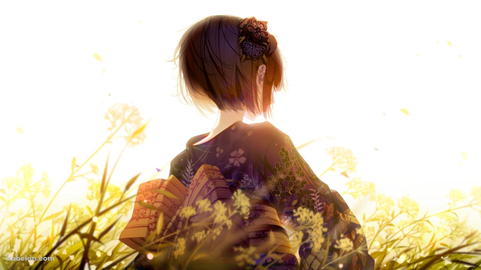 花畑の佇む着物を着た女性の後ろ姿の壁紙(1536px x 864px) 高画質 PC・デスクトップ用