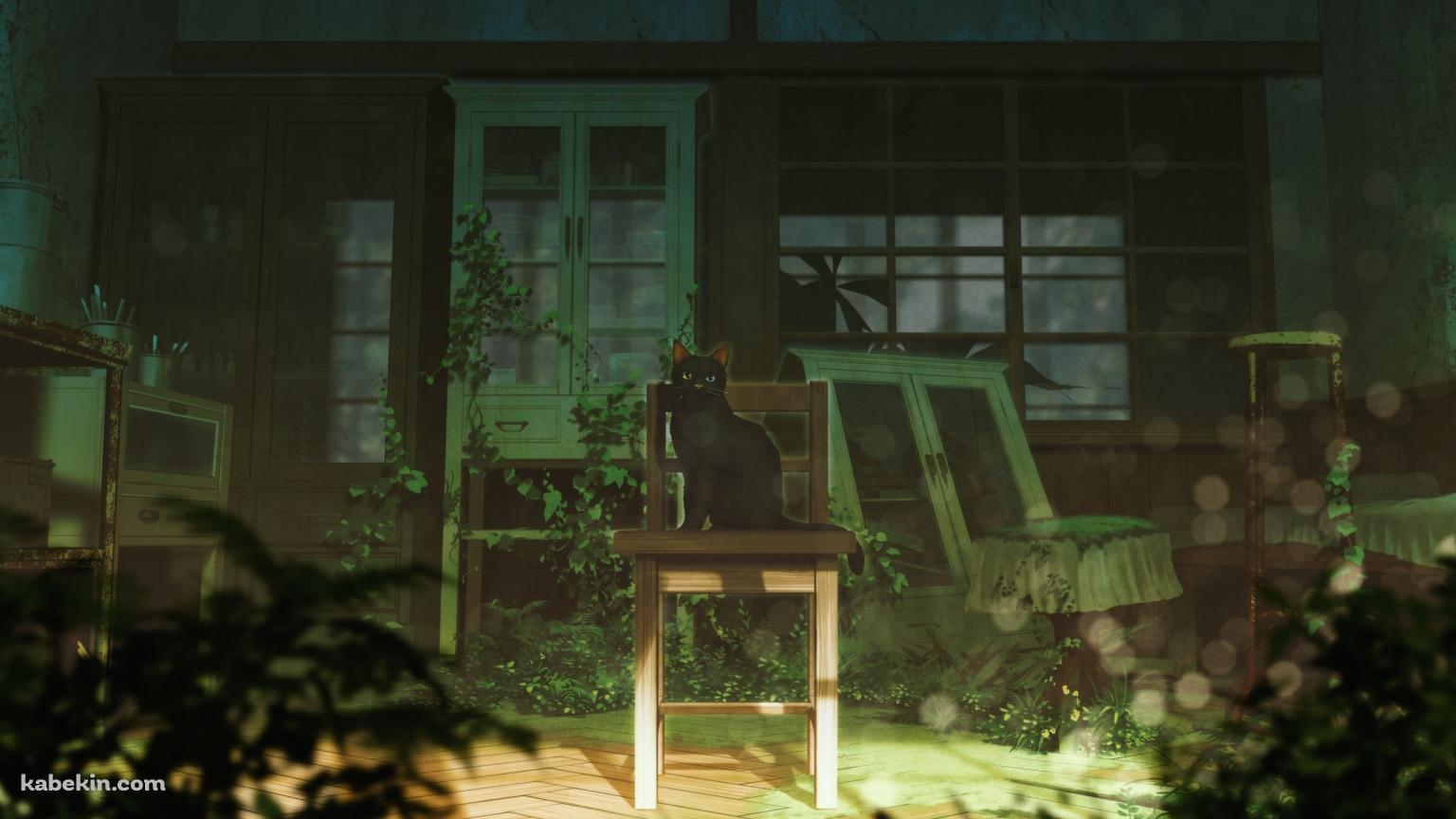 部屋の椅子に座る黒い猫 / イラストの壁紙(1536px x 864px) 高画質 PC・デスクトップ用