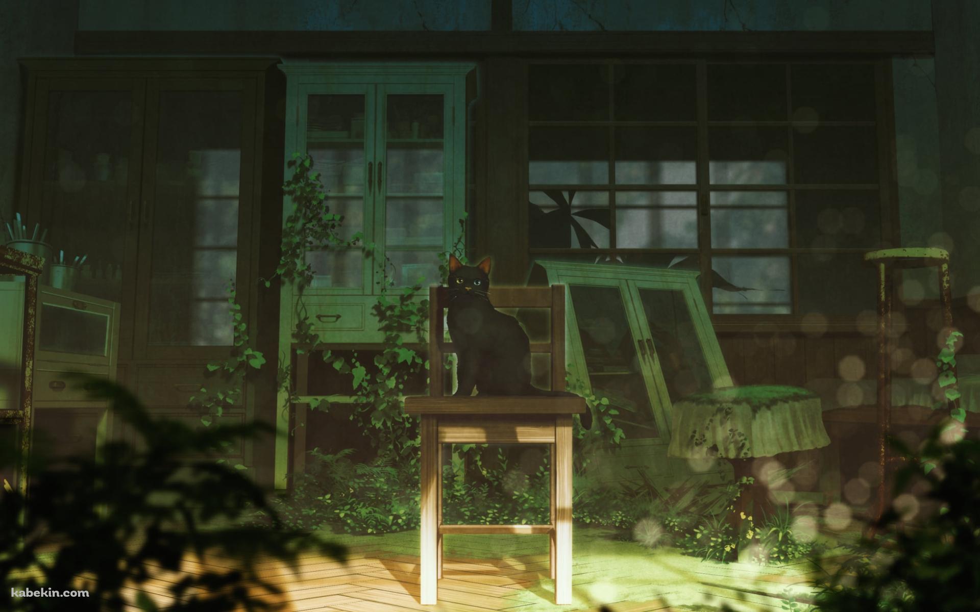 部屋の椅子に座る黒い猫 / イラストの壁紙(1920px x 1200px) 高画質 PC・デスクトップ用