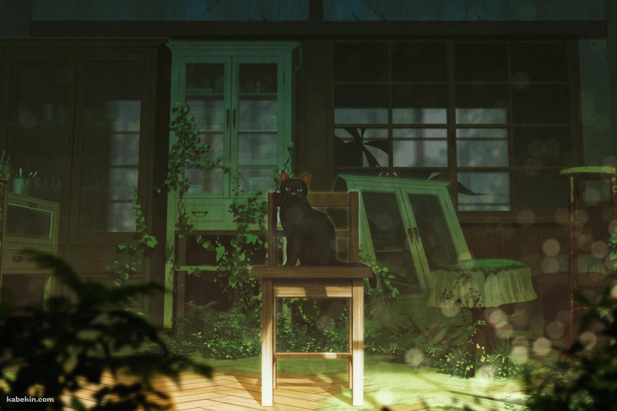 部屋の椅子に座る黒い猫 / イラストの壁紙(2000px x 1333px) 高画質 PC・デスクトップ用
