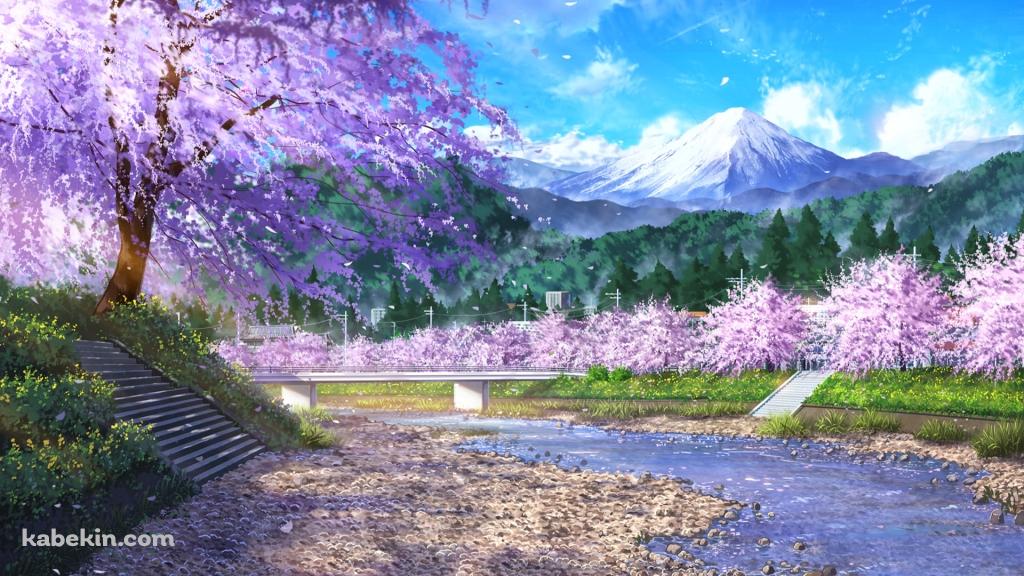 富士山が見える河川敷 / 桜 / 春 / 清流の壁紙(1024px x 576px) 高画質 PC・デスクトップ用