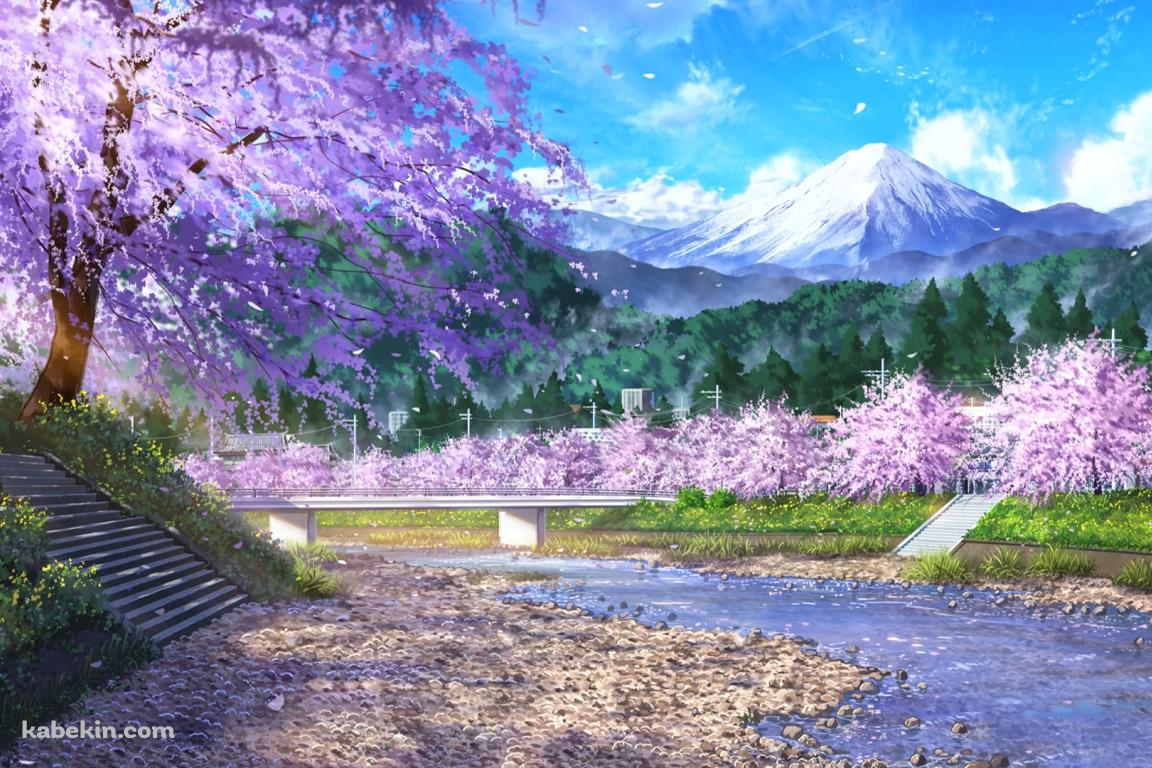 富士山が見える河川敷 / 桜 / 春 / 清流の壁紙(1152px x 768px) 高画質 PC・デスクトップ用