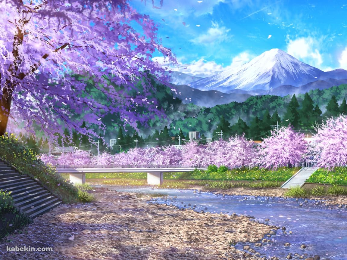 富士山が見える河川敷 / 桜 / 春 / 清流の壁紙(1152px x 864px) 高画質 PC・デスクトップ用
