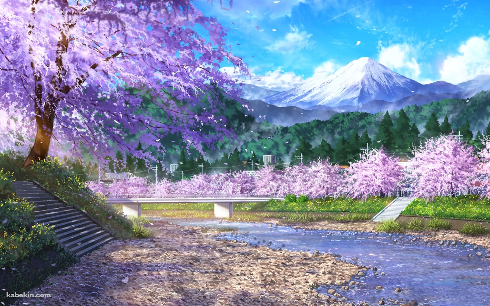 富士山が見える河川敷 / 桜 / 春 / 清流の壁紙(1680px x 1050px) 高画質 PC・デスクトップ用