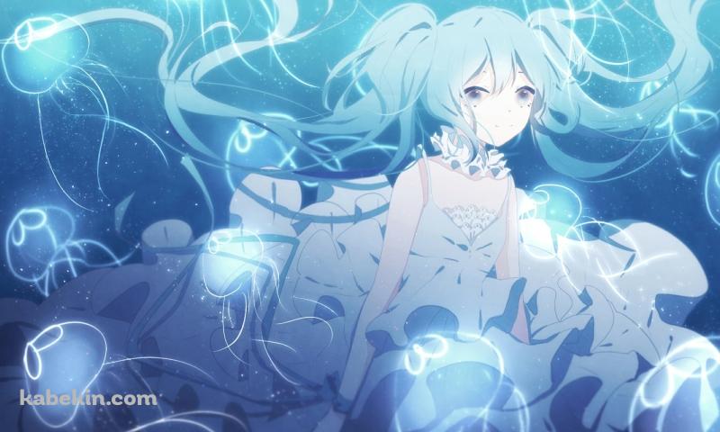 沢山のクラゲと泳ぐ初音ミク / ボカロ / ボーカロイドの壁紙(800px x 480px) 高画質 PC・デスクトップ用