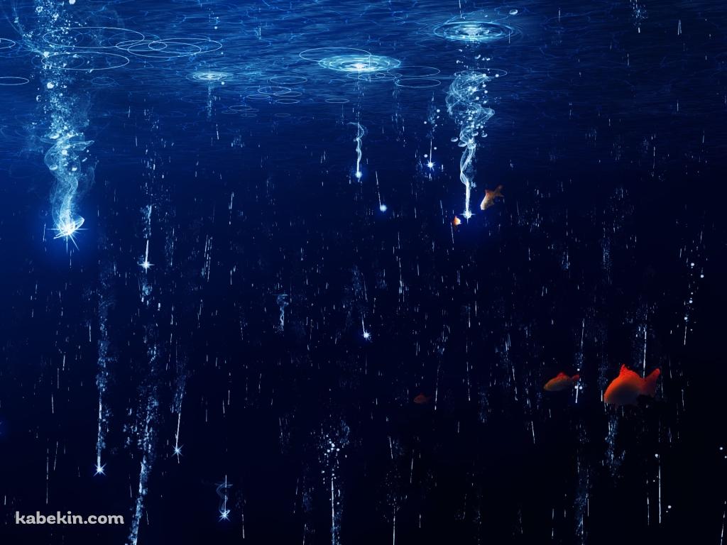 水面に落ちる光と赤い魚の壁紙(1024px x 768px) 高画質 PC・デスクトップ用
