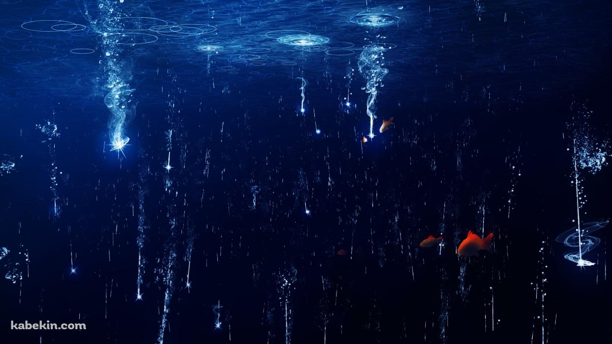 水面に落ちる光と赤い魚の壁紙(1242px x 698px) 高画質 PC・デスクトップ用