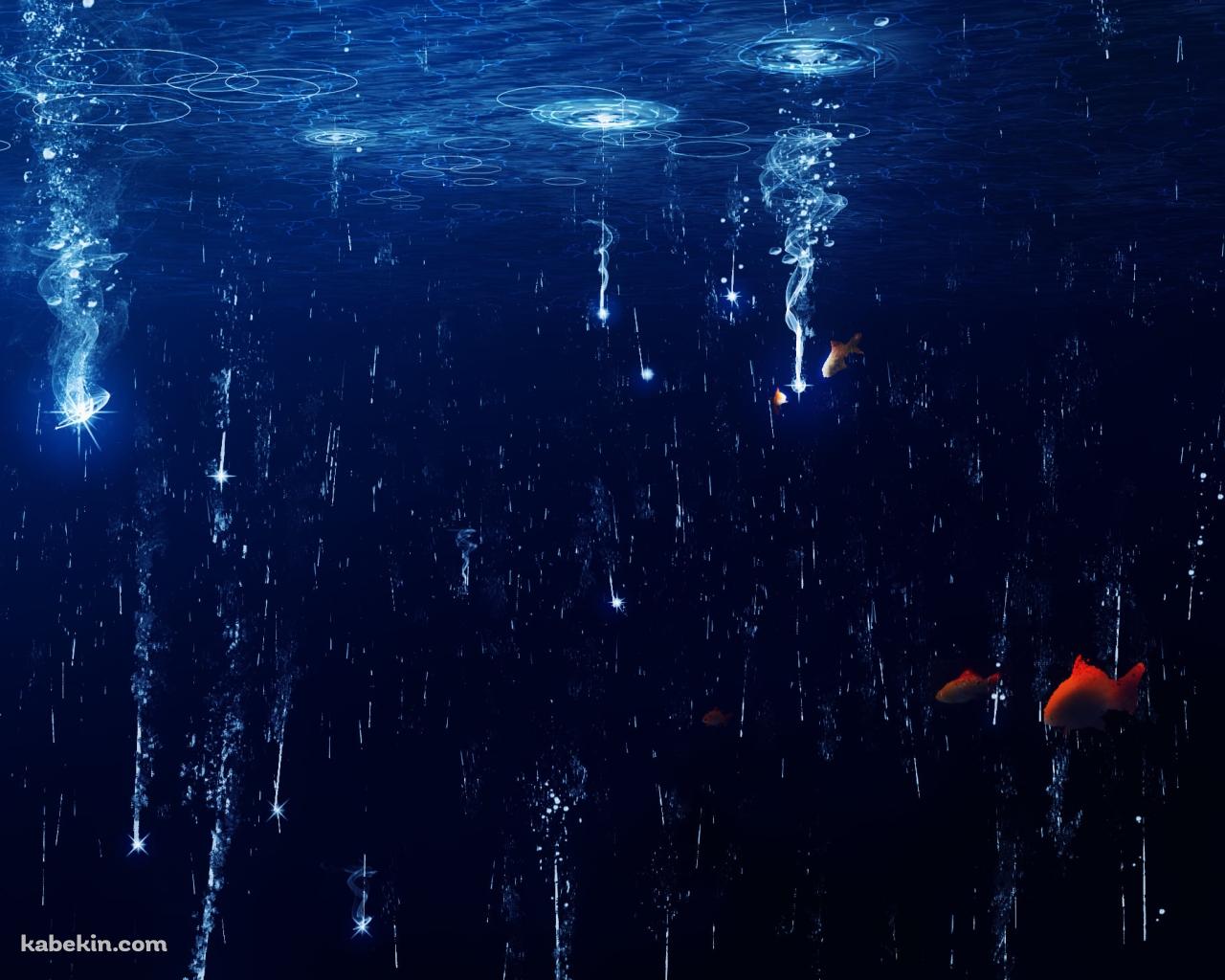 水面に落ちる光と赤い魚の壁紙(1280px x 1024px) 高画質 PC・デスクトップ用