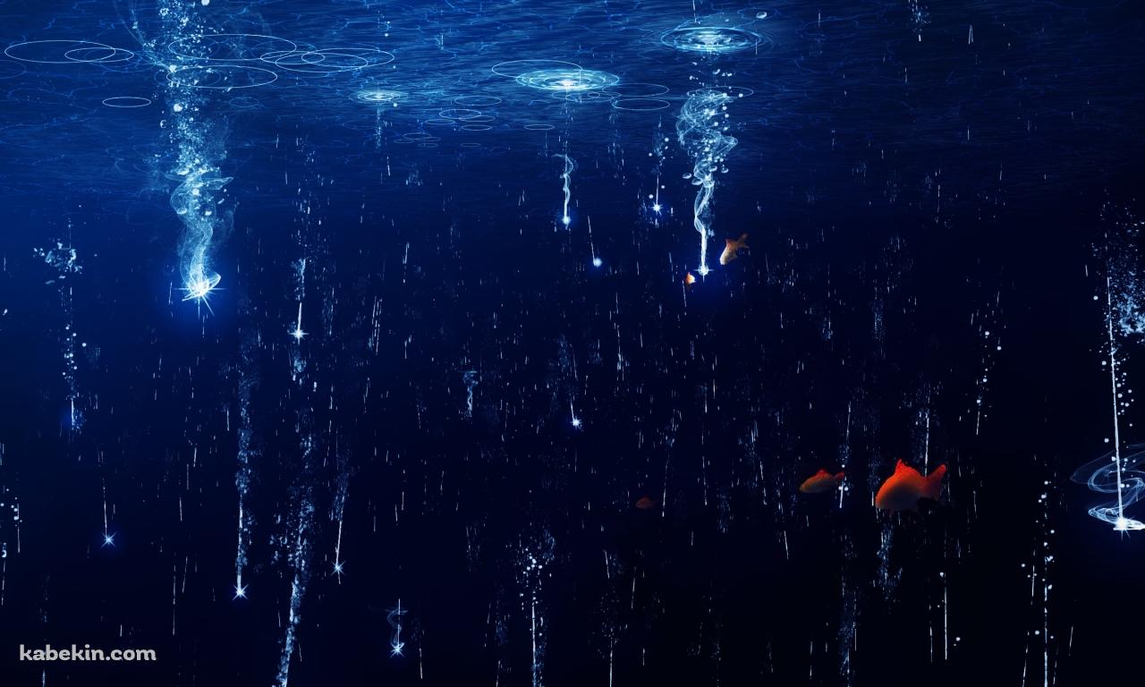 水面に落ちる光と赤い魚の壁紙(1280px x 768px) 高画質 PC・デスクトップ用