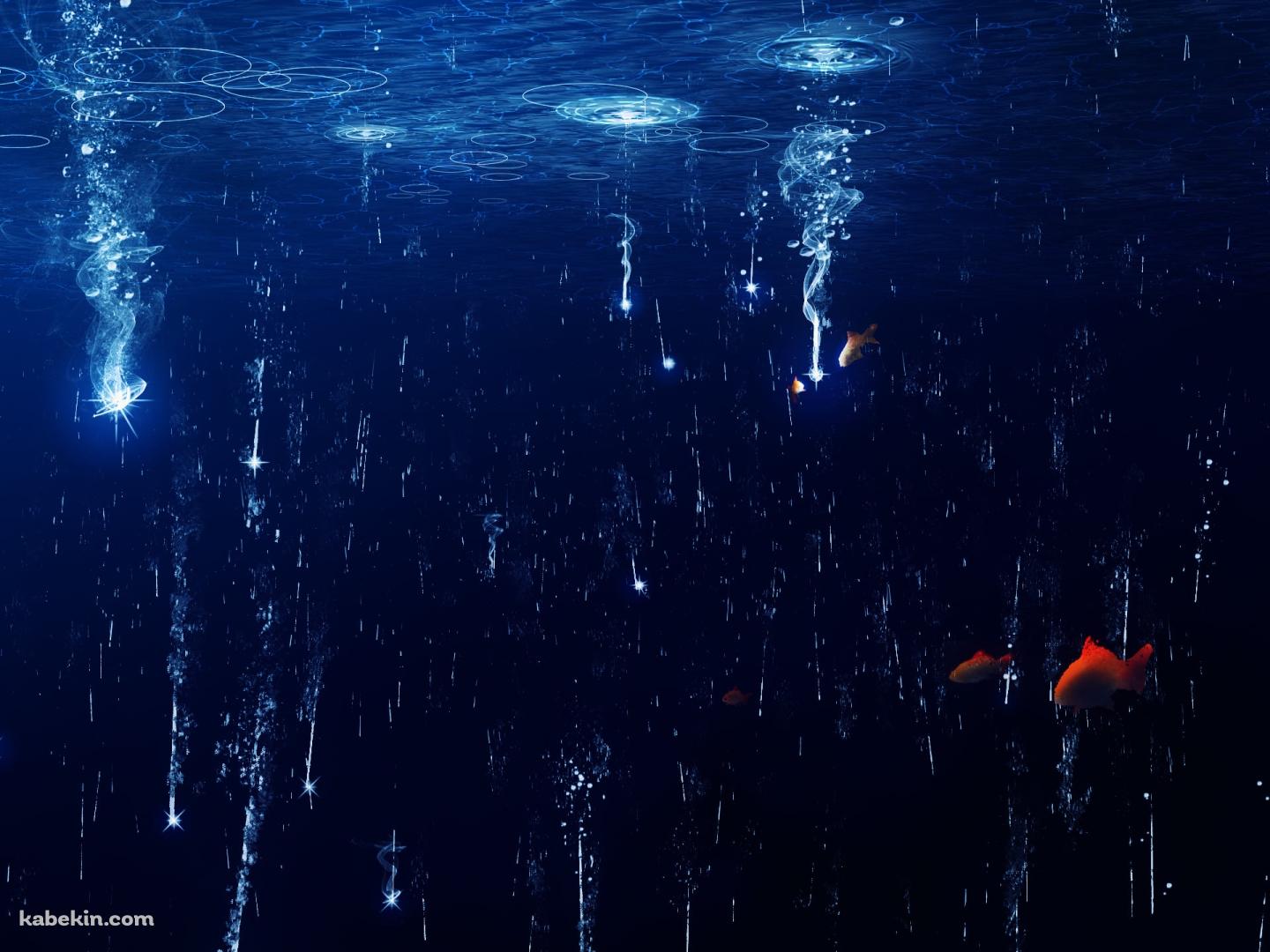 水面に落ちる光と赤い魚の壁紙(1440px x 1080px) 高画質 PC・デスクトップ用