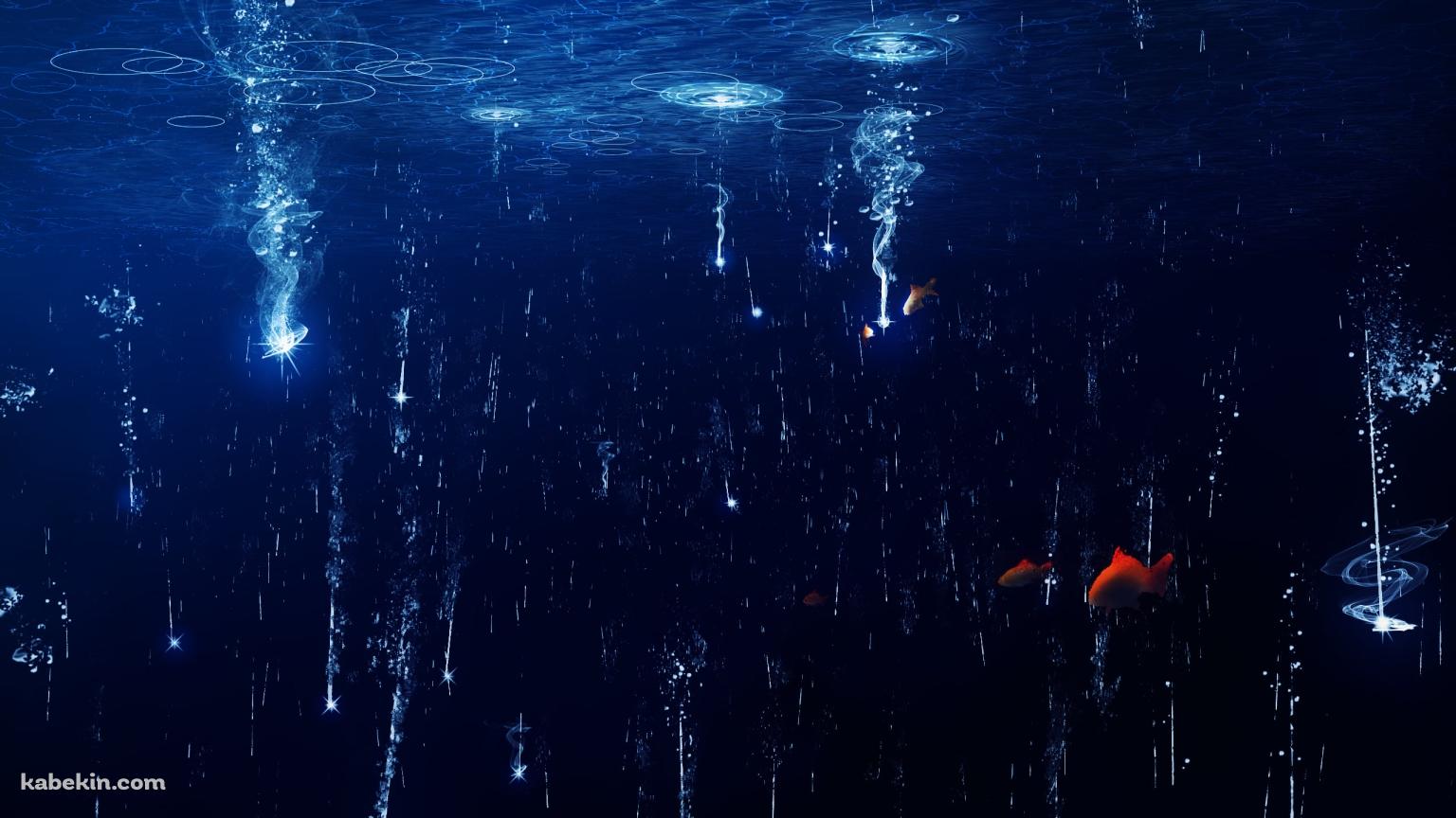 水面に落ちる光と赤い魚の壁紙(1536px x 864px) 高画質 PC・デスクトップ用
