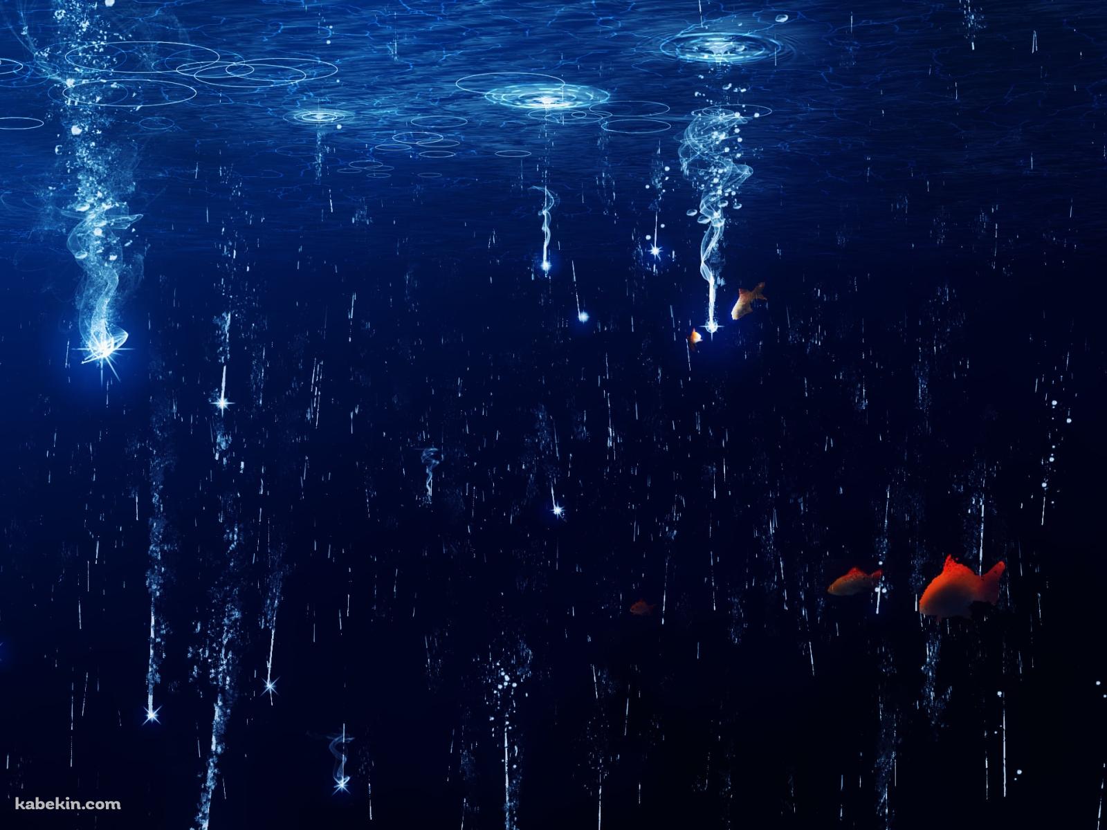 水面に落ちる光と赤い魚の壁紙(1600px x 1200px) 高画質 PC・デスクトップ用